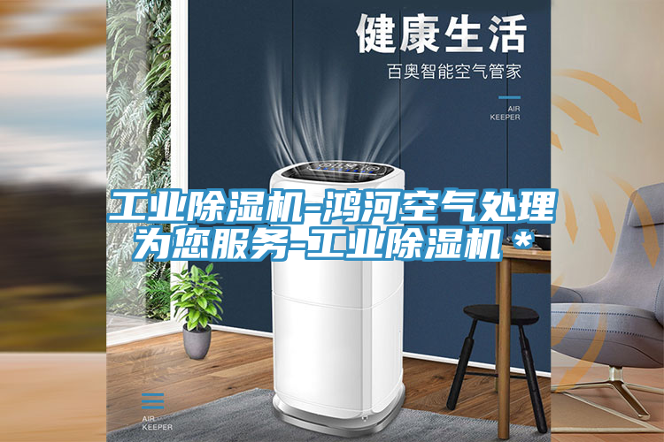 工業除濕機-鴻河空氣處理為您服務-工業除濕機＊