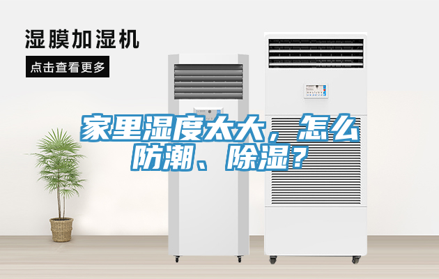 家里濕度太大，怎么防潮、除濕？