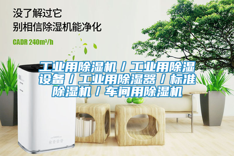 工業(yè)用除濕機(jī)/工業(yè)用除濕設(shè)備/工業(yè)用除濕器/標(biāo)準(zhǔn)除濕機(jī)/車間用除濕機(jī)