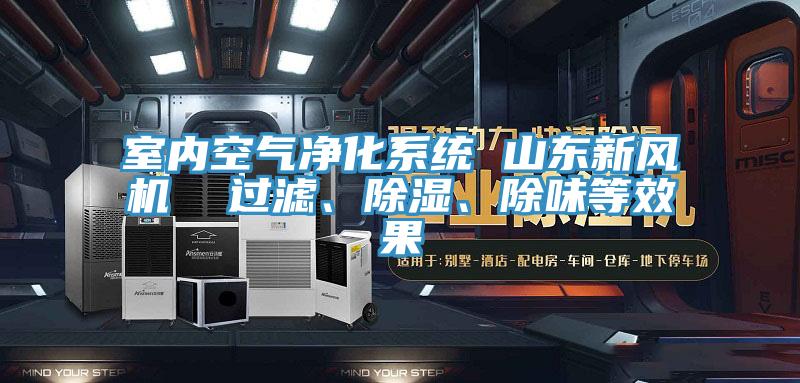 室內空氣凈化系統 山東新風機  過濾、除濕、除味等效果