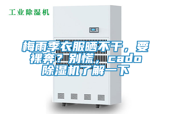 梅雨季衣服曬不干，要裸奔？別慌，cado除濕機了解一下