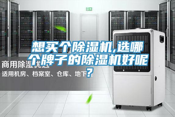 想買個除濕機,選哪個牌子的除濕機好呢?