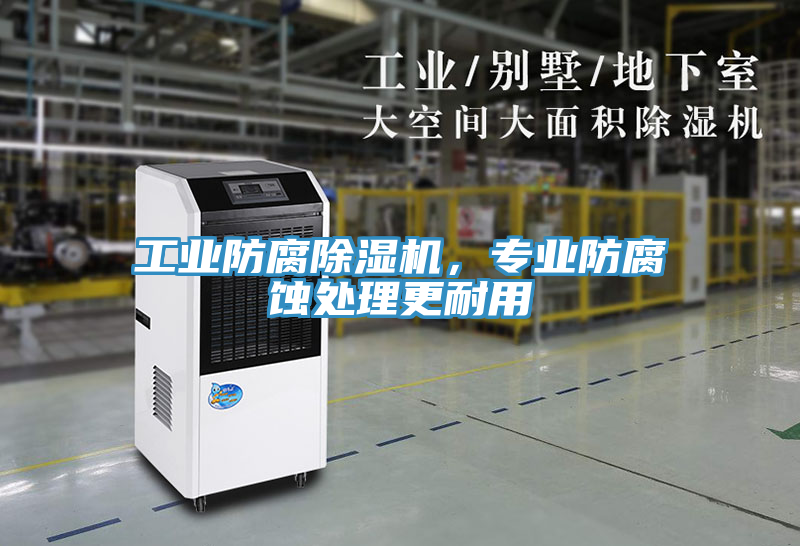 工業(yè)防腐除濕機，專業(yè)防腐蝕處理更耐用
