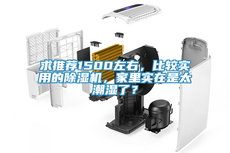 求推薦1500左右，比較實用的除濕機，家里實在是太潮濕了？