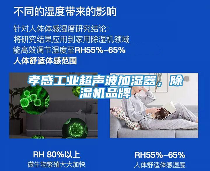 孝感工業(yè)超聲波加濕器，除濕機(jī)品牌