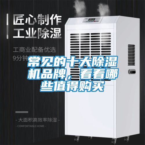 常見的十大除濕機(jī)品牌，看看哪些值得購買