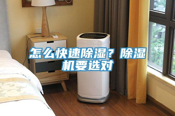 怎么快速除濕?除濕機要選對