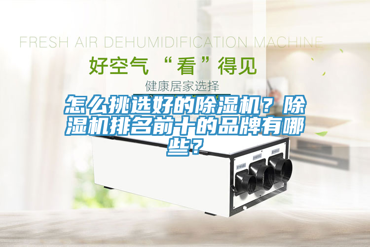 怎么挑選好的除濕機？除濕機排名前十的品牌有哪些？