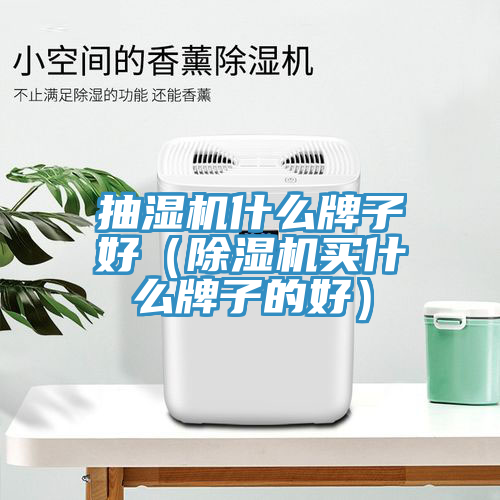 抽濕機什么牌子好(除濕機買什么牌子的好)