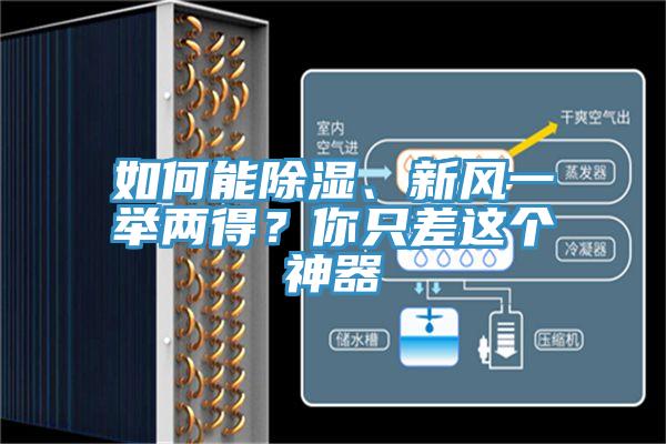 如何能除濕、新風(fēng)一舉兩得？你只差這個神器