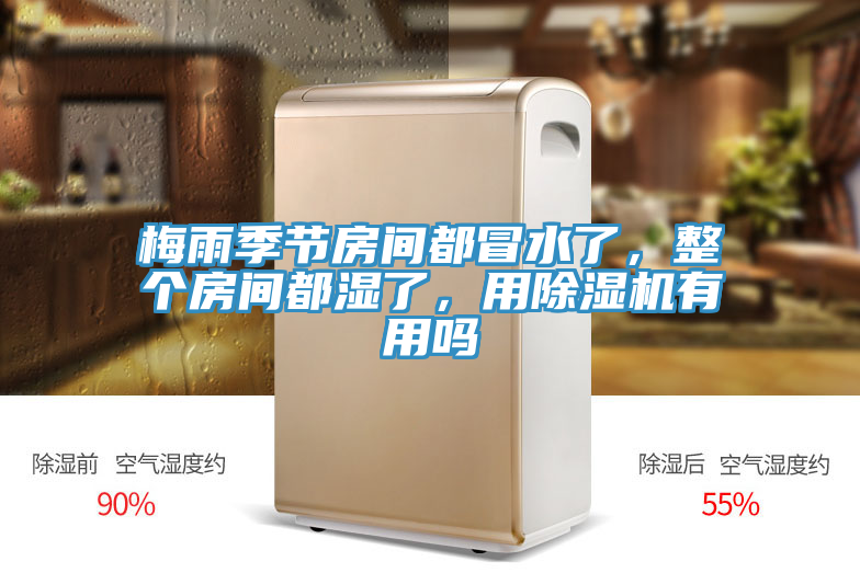 梅雨季節房間都冒水了，整個房間都濕了，用除濕機有用嗎