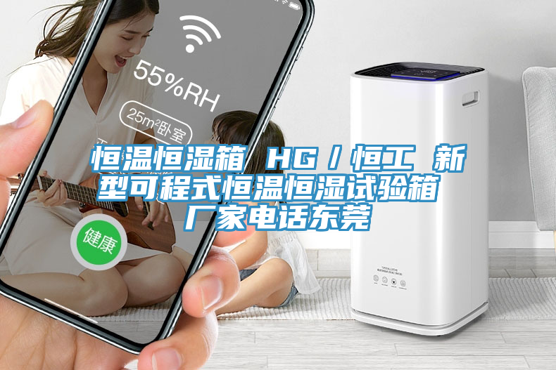 恒溫恒濕箱 HG/恒工 新型可程式恒溫恒濕試驗箱 廠家電話東莞