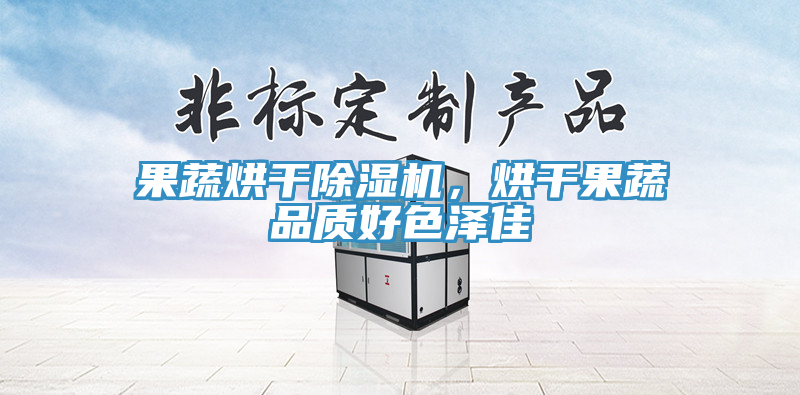 果蔬烘干除濕機，烘干果蔬品質(zhì)好色澤佳