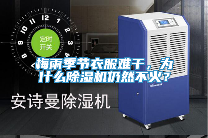 梅雨季節衣服難干，為什么除濕機仍然不火？