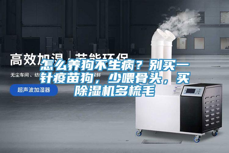 怎么養(yǎng)狗不生病？別買一針疫苗狗，少喂骨頭，買除濕機多梳毛