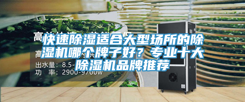 快速除濕適合大型場所的除濕機哪個牌子好？專業十大除濕機品牌推薦