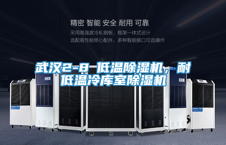 武漢2-8℃低溫除濕機，耐低溫冷庫室除濕機