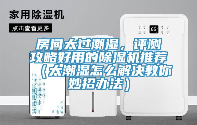 房間太過潮濕，評測攻略好用的除濕機(jī)推薦（太潮濕怎么解決教你妙招辦法）