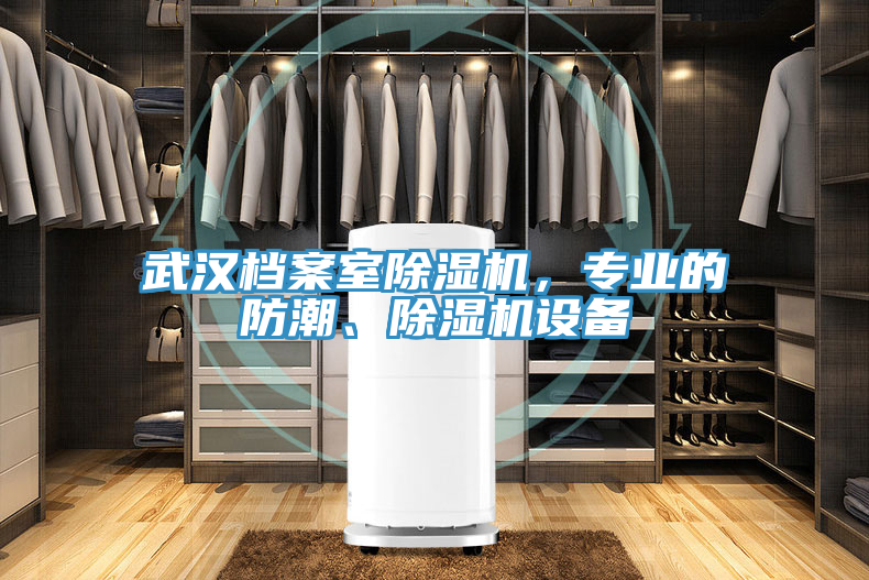 武漢檔案室除濕機，專業的防潮、除濕機設備