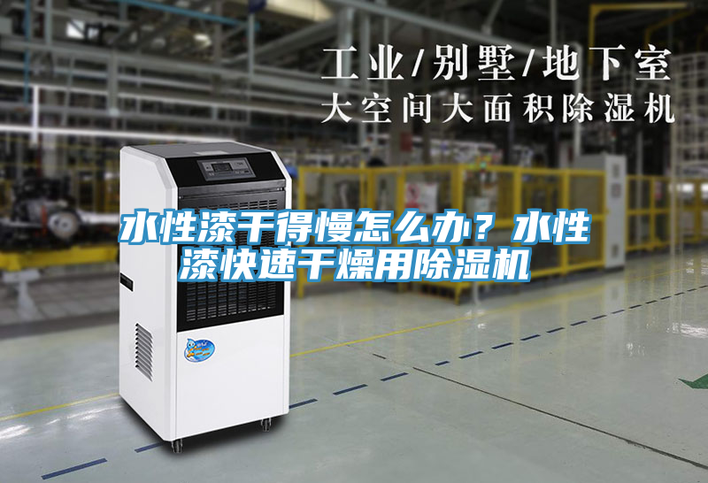 水性漆干得慢怎么辦？水性漆快速干燥用除濕機
