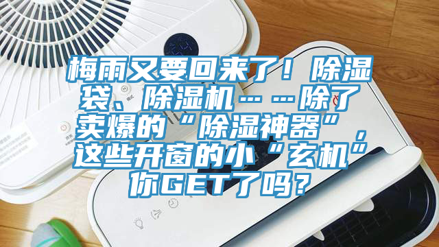 梅雨又要回來了！除濕袋、除濕機……除了賣爆的“除濕神器”，這些開窗的小“玄機”你GET了嗎？