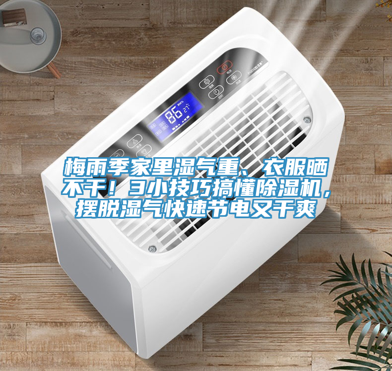 梅雨季家里濕氣重、衣服曬不干！3小技巧搞懂除濕機，擺脫濕氣快速節電又干爽