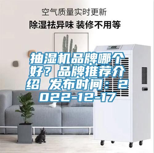 抽濕機品牌哪個好?品牌推薦介紹 發布時間:2022-12-17