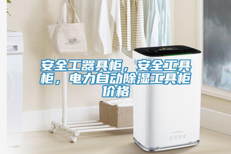 安全工器具柜，安全工具柜，電力自動除濕工具柜價格