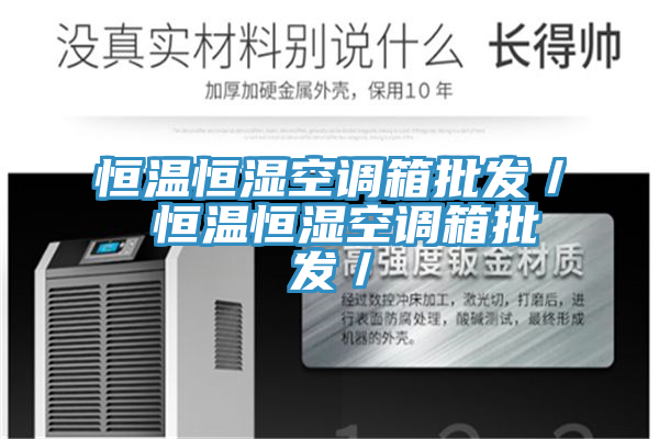 恒溫恒濕空調箱批發(fā)／ 恒溫恒濕空調箱批發(fā)／