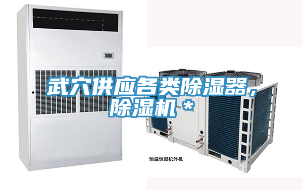 武穴供應各類除濕器，除濕機＊