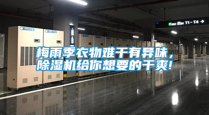 梅雨季衣物難干有異味，除濕機給你想要的干爽!