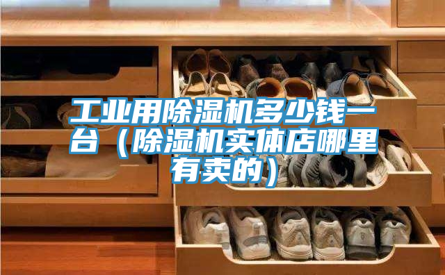 工業(yè)用除濕機(jī)多少錢一臺(除濕機(jī)實(shí)體店哪里有賣的)