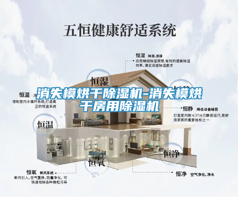 消失模烘干除濕機-消失模烘干房用除濕機
