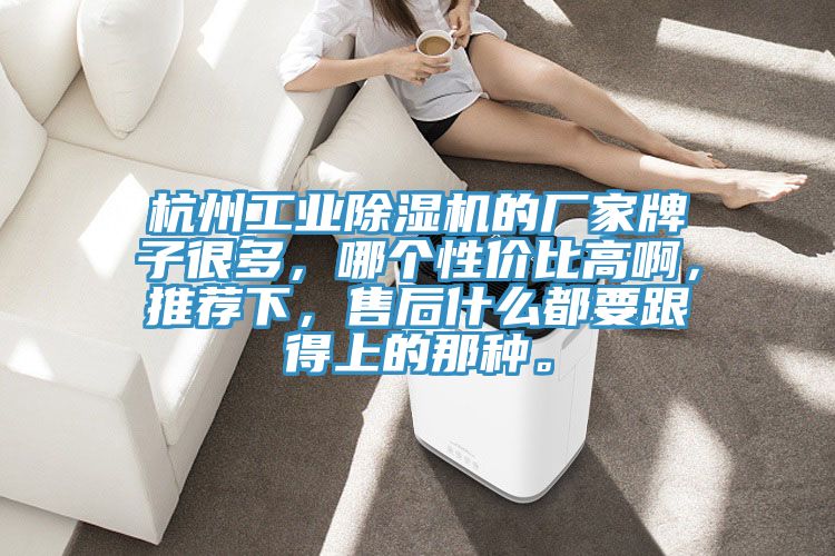 杭州工業除濕機的廠家牌子很多，哪個性價比高啊，推薦下，售后什么都要跟得上的那種。