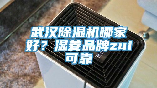 武漢除濕機哪家好？濕菱品牌zui可靠