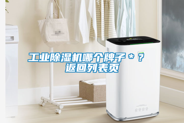 工業除濕機哪個牌子*? 返回列表頁