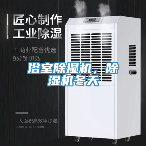 浴室除濕機,除濕機冬天