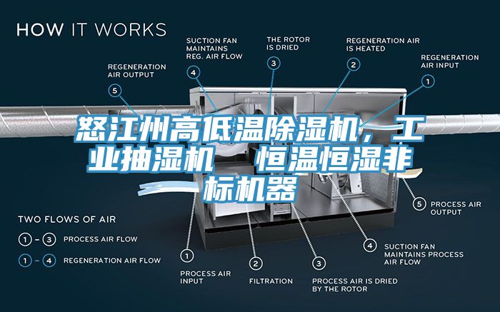 怒江州高低溫除濕機,工業(yè)抽濕機 恒溫恒濕非標機器