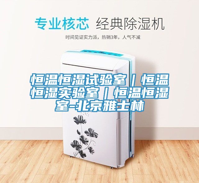 恒溫恒濕試驗室|恒溫恒濕實驗室|恒溫恒濕室-北京雅士林