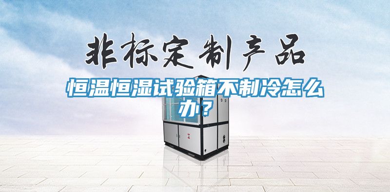 恒溫恒濕試驗箱不制冷怎么辦？