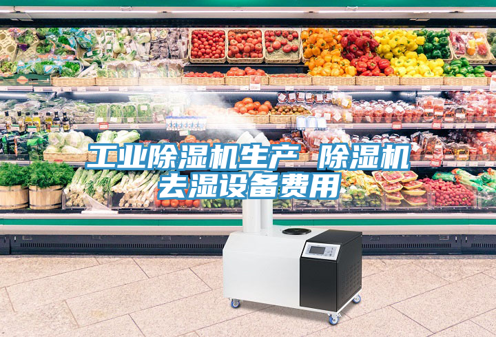 工業除濕機生產 除濕機去濕設備費用