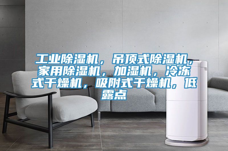 工業除濕機，吊頂式除濕機，家用除濕機，加濕機，冷凍式干燥機，吸附式干燥機，低露點