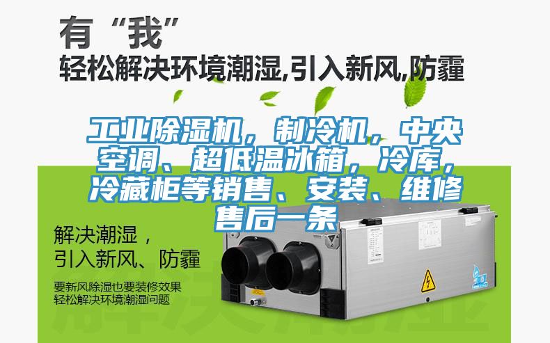 工業除濕機，制冷機，中央空調、超低溫冰箱，冷庫，冷藏柜等銷售、安裝、維修售后一條