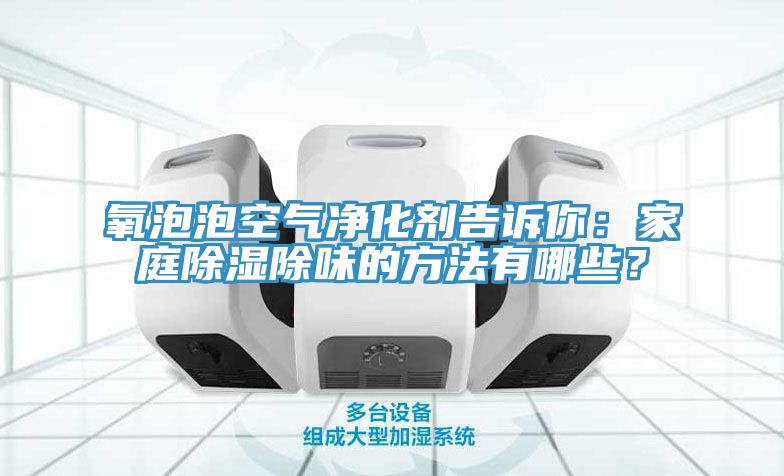 氧泡泡空氣凈化劑告訴你：家庭除濕除味的方法有哪些？