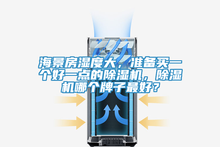 海景房濕度大,準備買一個好一點的除濕機,除濕機哪個牌子最好?