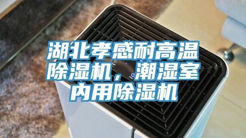 湖北孝感耐高溫除濕機(jī)，潮濕室內(nèi)用除濕機(jī)