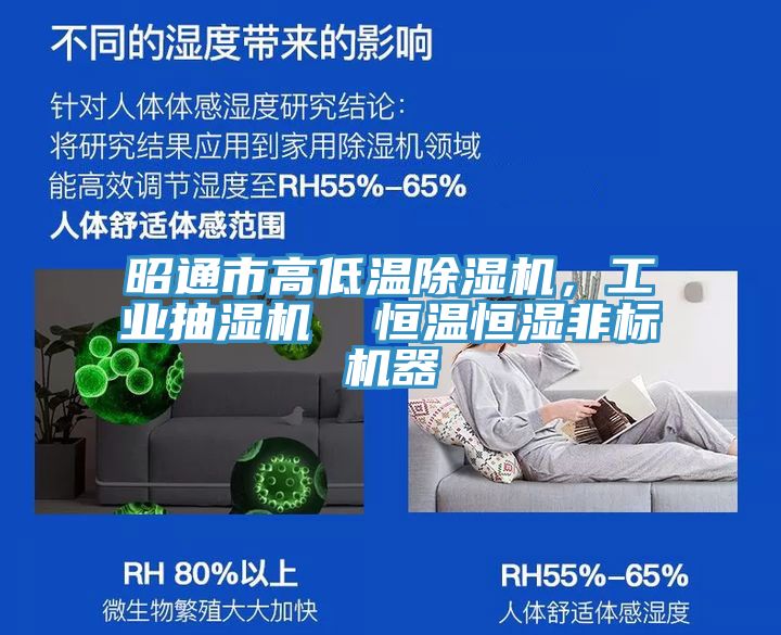 昭通市高低溫除濕機，工業(yè)抽濕機  恒溫恒濕非標(biāo)機器