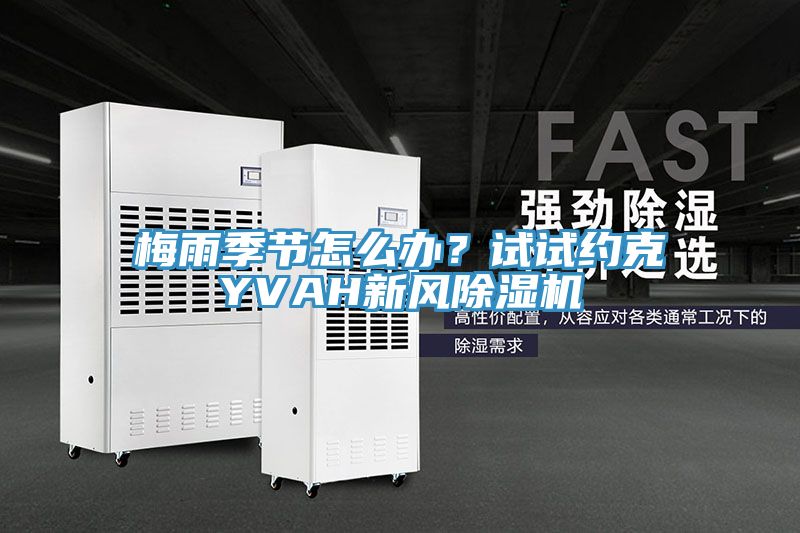 梅雨季節(jié)怎么辦？試試約克YVAH新風除濕機