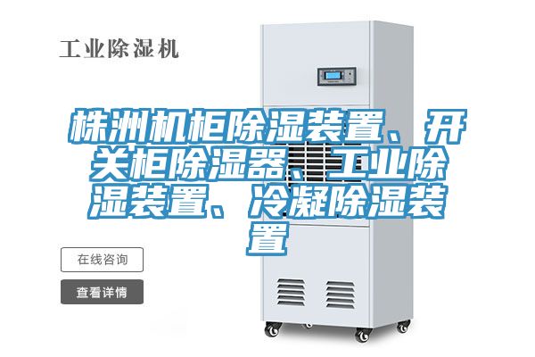 株洲機柜除濕裝置、開關柜除濕器、工業除濕裝置、冷凝除濕裝置