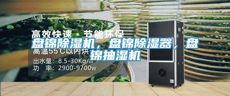 盤錦除濕機，盤錦除濕器，盤錦抽濕機